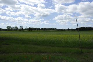 Ferienwohnung mit Weitblick in die Natur - Küsten - 3