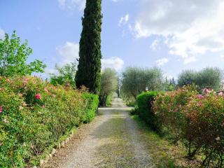 Villa il Rossignolo - Grassina - 8