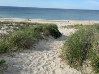 5 Beach Road East Sandwich - Sandy Toes & Salty Kisses - East Sandwich - 0