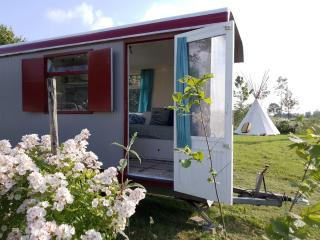 Frisse, moderne vakantiewagens vlakbij Zutphen - 8