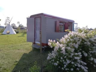 Frisse, moderne vakantiewagens vlakbij Zutphen - 1