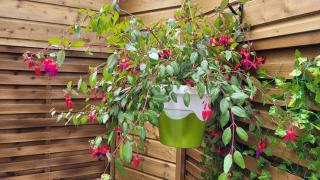 La bulle romantique - Calais - 2