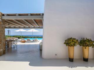 Villa Agave - Città di Mykonos - 1