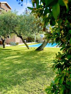 Villa C Luxury Estate - 2