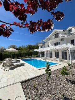 Carpe Diem Villa - Novi Sad - 5