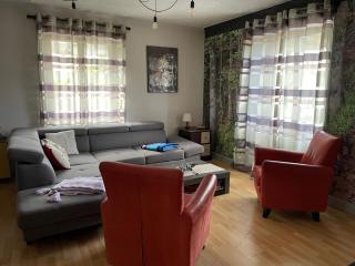 appartement Vintage a l ancienne forge - Muhlbach-sur-Munster - 5