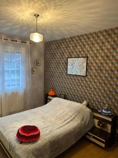 Gîte LA MAISON ROSE - Lannemezan - 2