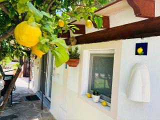 Casita Limón Andratx - Andraitx - 5