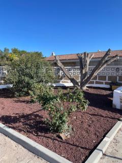Casa Don Daniel - Arona - 1