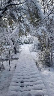 Cabaña "Tierra de Gigantes" Los Coihues Bariloche - 6