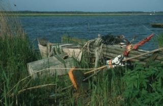 Apartment in ausgebauter Bootsscheune - 1