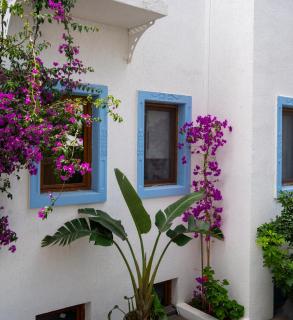 Manuela Boutique Hotel Bitez - Bitez - 3