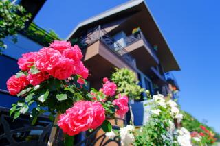 Peerless Villas Hotel - Trabzon - 0