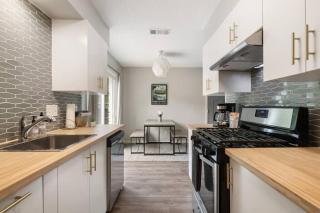 Charming South Austin 2 Bedroom Home - Austin - 4