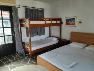 Villa Evi by the sea - Sarti - 6
