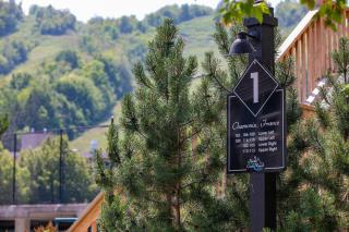 Mountainside Retreat - 4