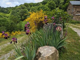 Petite bergerie en pierres tout confort - 9