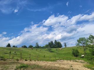 Refugiul din Vama - 9