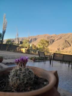 Tierra Primitiva - 3