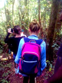 The Rainforest Ecolodge - Sinharaja with Shuttle Service from Car Park - Deniyaya - 7