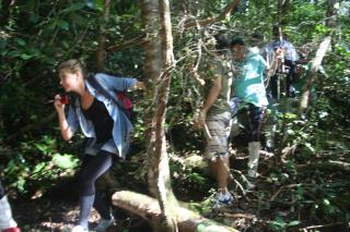 The Rainforest Ecolodge - Sinharaja with Shuttle Service from Car Park - Deniyaya - 6