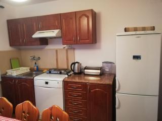 Apartament w górach w Beskidzie Żywieckim gmina Koszarawa 26 km od Żywca,20 km od Suchej Beskidzkiej - Żywiec - 5