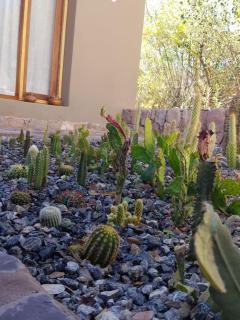 Tierra Primitiva - 7