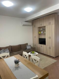 Apartman EMANA - Veternik - 9