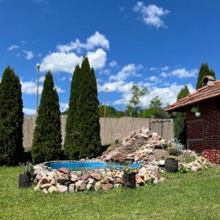 Vila Tribalija - Gornji Milanovac - 8