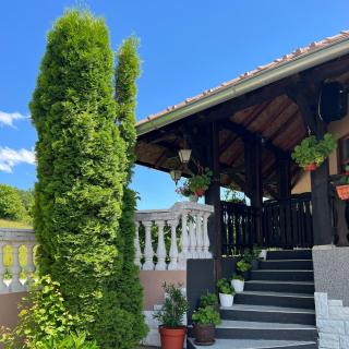Vila Tribalija - Gornji Milanovac - 9