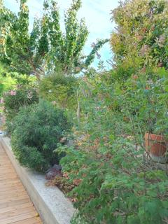 Villa Lambesc Provence - Lambesc - 6