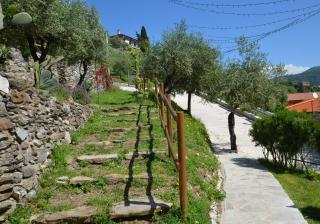Le Drupe - Chiavari - 2