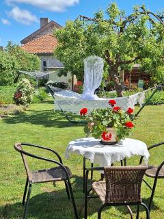 Majutus rahulikus piirkonnas kesklinna ja mere läheduses - 8