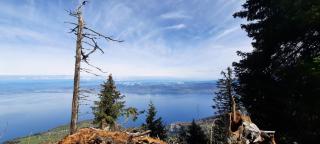 Studio entre Lac et Montagnes Evian - Lugrin - 9