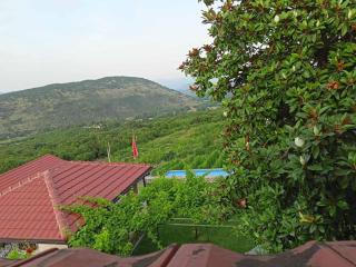 Green Silence - Vuk - Podgorica - 2