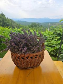 Green Silence - Vuk - Podgorica - 8