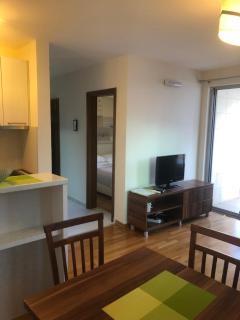 Apartments Rafailović Ljubo - 1