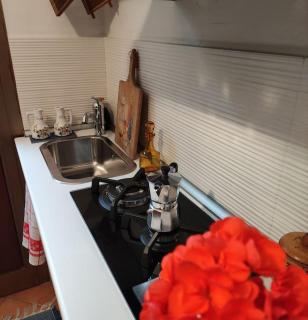 Appartamento rustico con giardino e parcheggio gratuito - Imperia - 4
