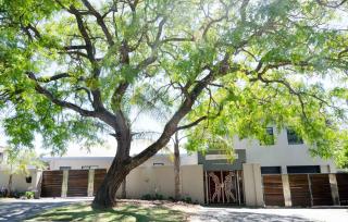 Art and Accommodation Guesthouse - Cidade Do Cabo - 3