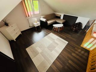 River Apartment - Sinaia - 4