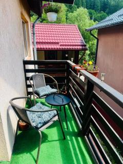 River Apartment - Sinaia - 1