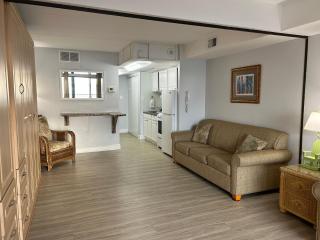 Direct Oceanfront with Balcony, Pool-Parking-Kitchenette - 3