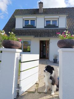 La maison d'à côté - Montreuil-sur-Mer - 9