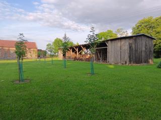 Agroturystyka Słupeczka - - 3