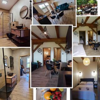 Apartament MILKA 2 - Tolkmicko - 8