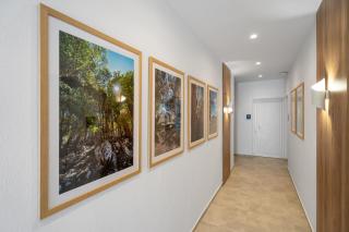 Faflagos Apartments - Psari Forada - 3