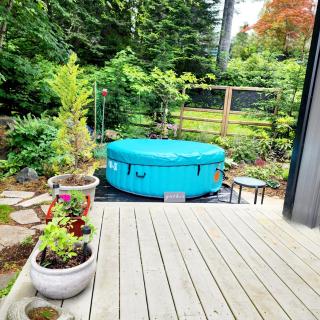 Tiny House with HOT TUB, close to golf and hiking!! - Oyster Bay - 8