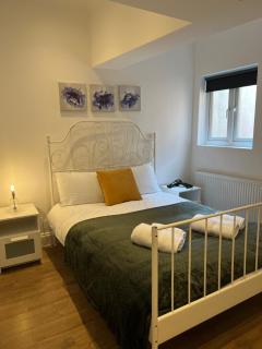 Lovely Garden Flat near Emirates Stadium and Kings Cross St Pancras Station - Londra - 0