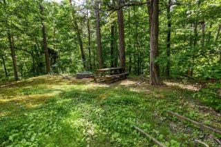 Couples Retreat! Fire Pit! King Bed! Hot Tub! - Sevierville - 5