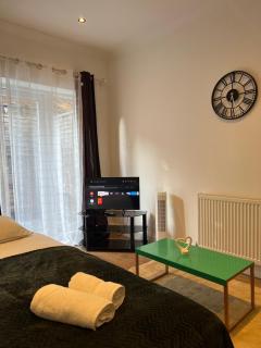 Charming 2-Bed Garden Flat near Kings Cross St Pancras & Emirates Stadium - 9